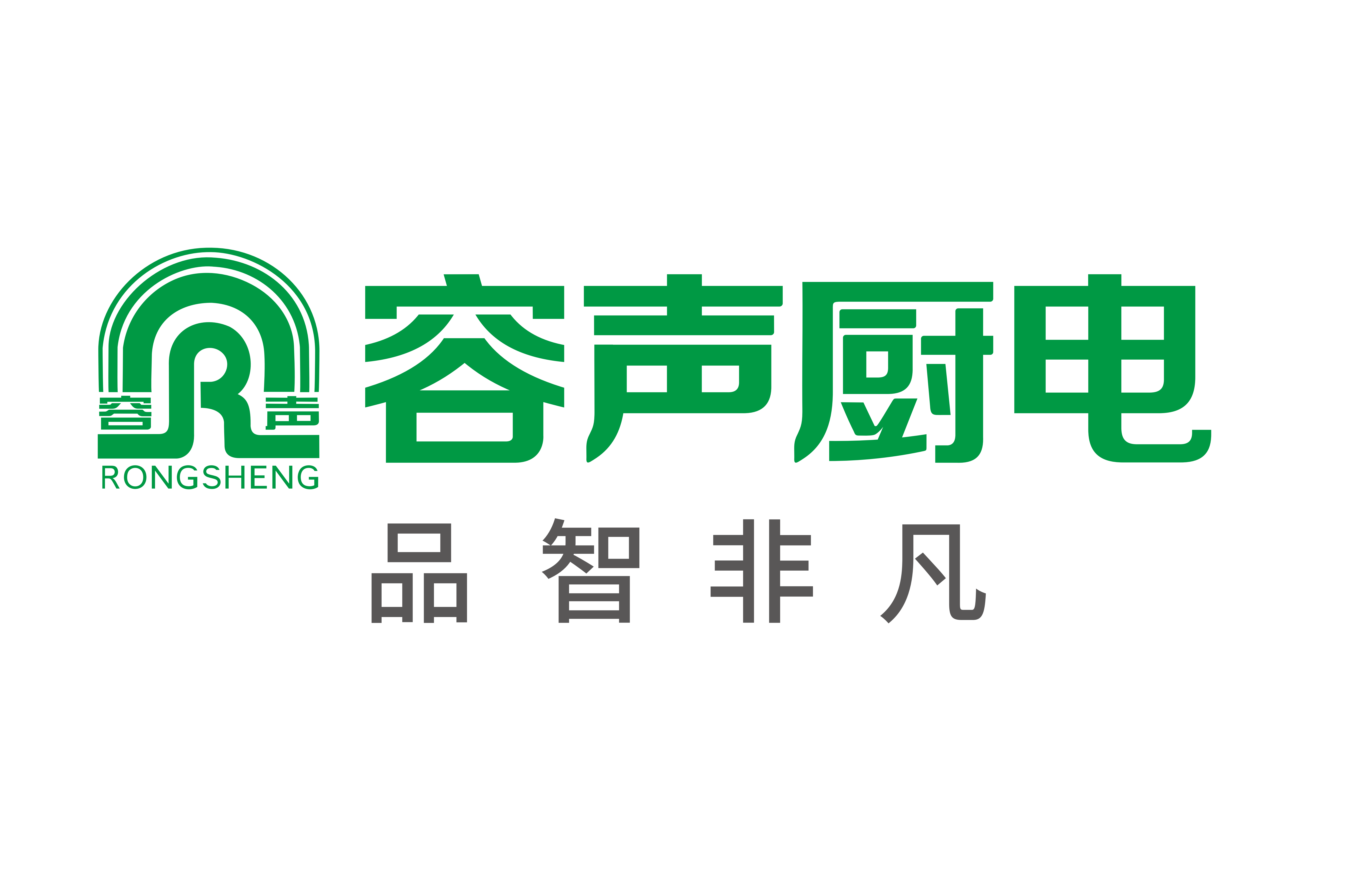 Guangdong Rongsheng Electric Holding Co, Ltd.